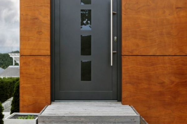 puerta 2